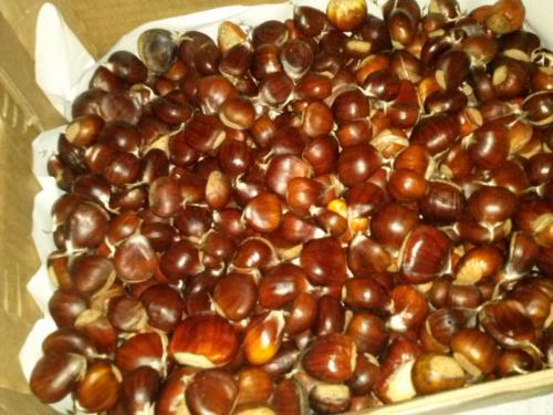 Llevo castañas al Mercademos