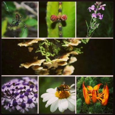 Fotografia de calidad a domicilio.