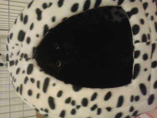 Este viernes a partir de las 7 de la tarde Mercademos en Marzagán. 