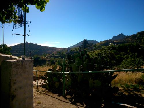 Se necesita para trabajo en finca
