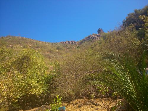 Busco gente pa labores de construcción y limpieza en finca