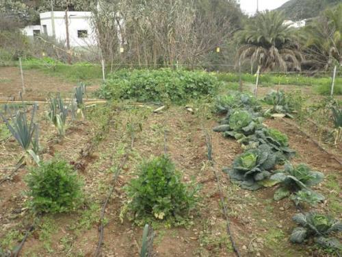 Trabajador para finca ecológica