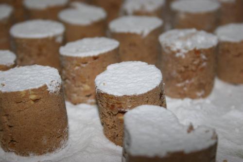 REPOSTERIA DE INVIERNO