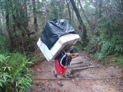 Necesito DOS PERSONAS PARA CARGAR UNA LAVADORA este domingo