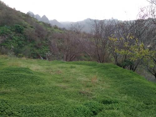 Quieres venirte al campito unas horas, unos ratitos? Colaborar, pasear, aprender