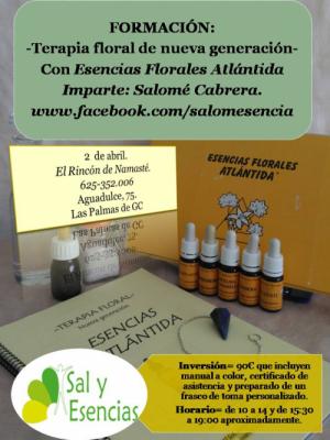 Curso esencias Atlantida. Sufragable un tercio en demos