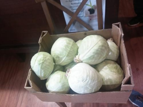 Coles hoy en el mercademos de La Isleta