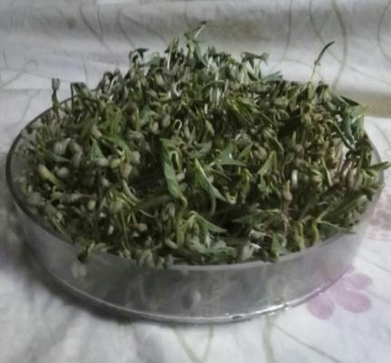 Brotes de soja germinados