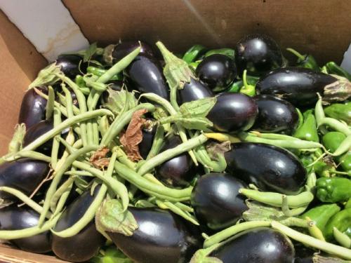 Mercademos de La isleta 25 de julio 