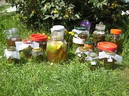 MercaDEMOS DE TEROR DE 12,30 A 13 H Taller de preparaciòn de fermentados con fruta para la higiene de la casa y de la persona 