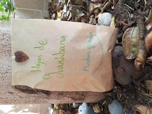 Hojas de Guanábana.