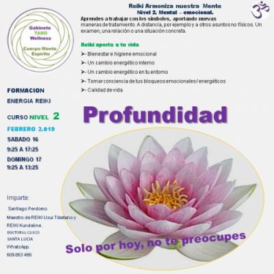 PROGRAMAS DE CURSO REIKI NIVEL 2