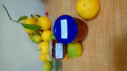 Vendo Mermelada de Tuno Indio ECO sin aditivos. 