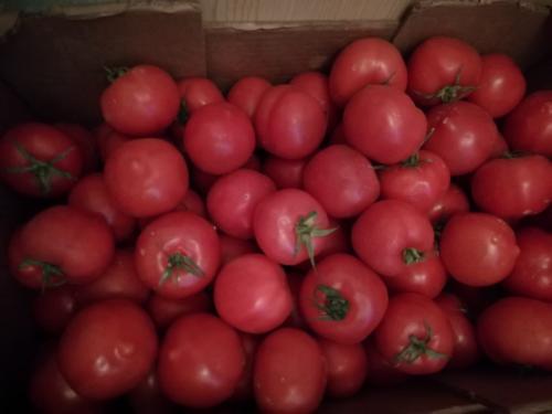 Tomates, limones, calabaza, calabacín...en el Mercademos La Isleta 28 de febrero