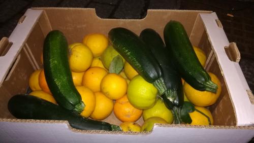 Naranjas y calabacines negros de Moya 