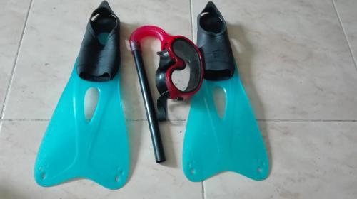 Aletas, gafas y tubo