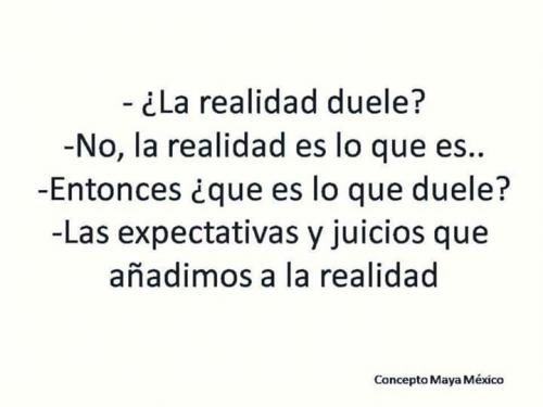 Gracias por los libros Manticore!