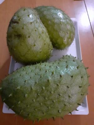 Fruta de guanábana fresca para comer ya o congelar