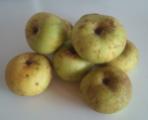 [AGOTADAS] Manzanas Francesas de Valleseco