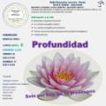 PROGRAMAS DE CURSO REIKI NIVEL 2