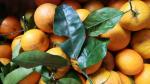 Naranjas ecológicas de Moya. 